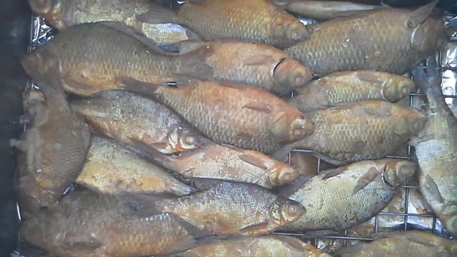 Путешествия в мир водной жизни