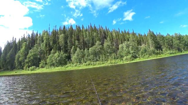 ЛЕТНЯЯ РЫБАЛКА НА ХАРИУСА! смотреть онлайн