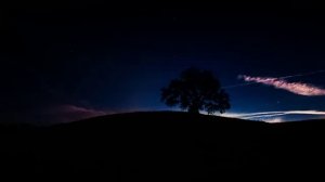 Сверчки и Цикады для сна, 5 часов