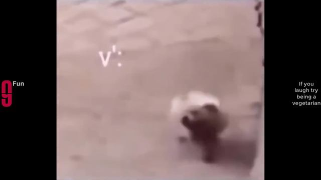 Попробуй не засмеяться №42 - Лучшие Приколы 2024. #шоу #shorts #ютубшортс #смех #приколы #мемы #мем смотреть онлайн