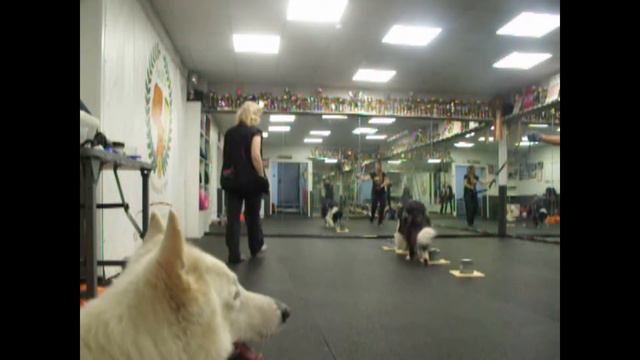 Ялайка Царь на ноузворк,первый уровень смотреть онлайн