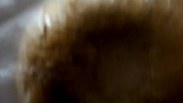 собираем споры шанпеньона смотреть онлайн