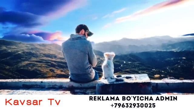 Ит бор уйда нима бўлади?!-Абдуллох Домла-Abdulloh Domla 2023 #abdullohdomla #farishtalar #it #uy смотреть онлайн