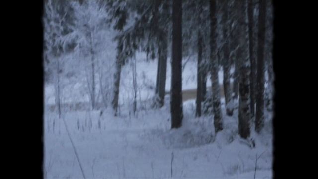 THE FIRST SNOW. Cinematic video on Sony α6300 смотреть онлайн