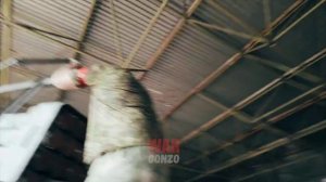 Что делают под Суджей вчерашние донецкие школьники