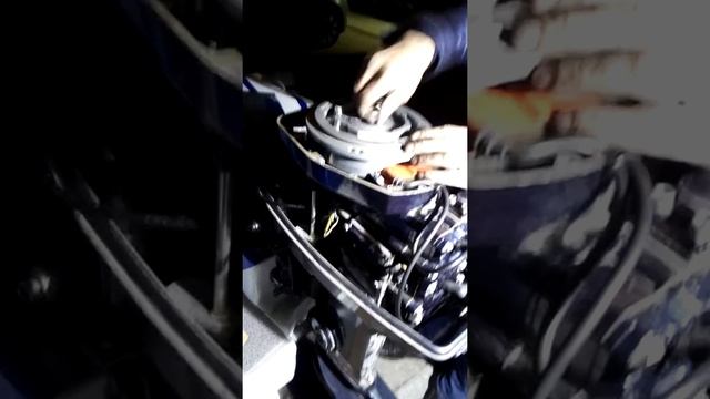 Сельва антибес 30 снимаем катушку зажигания смотреть онлайн