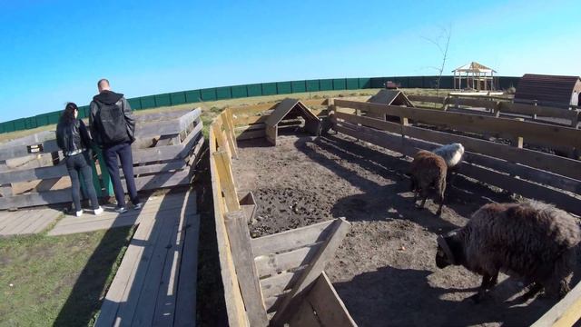 Зоопарк "Чудесный", 10.10.2020, часть 2 смотреть онлайн