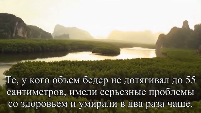 Толстые бедра защищают от болезней сердца — Статья смотреть онлайн