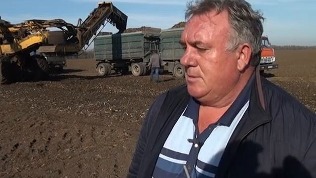 Свекольные горы: «Успенский Агропромсоюз» снова бьет сахарные рекорды смотреть онлайн