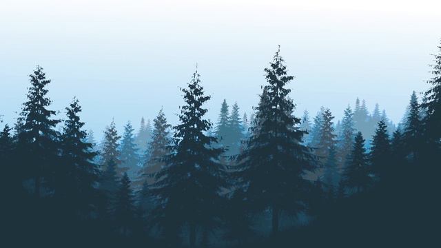Анимация леса смотреть онлайн