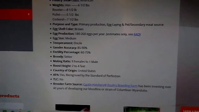 #141   Куры Wyandotte Bіандот Kолумбійський  окрас. Цены на цыплят  в США