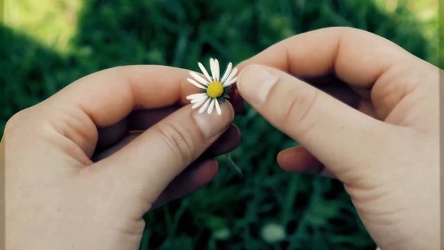 Стань моим мужем! Девушка сделала предложение парню! Ответ парня был неожиданным.