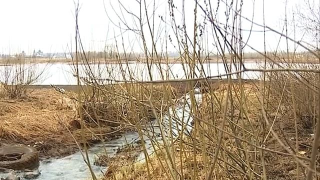 В Волгу стекают нефтепродукты смотреть онлайн