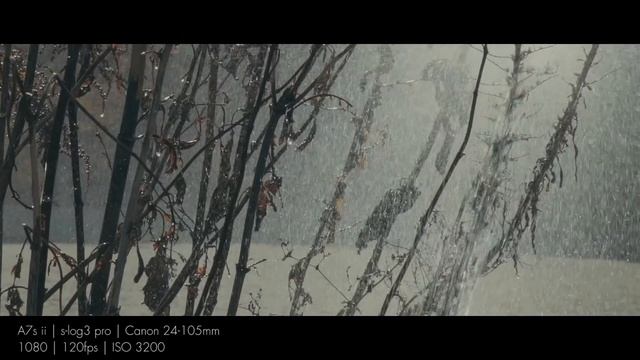 Sony a7S II Test Footage | 4k and 120fps смотреть онлайн