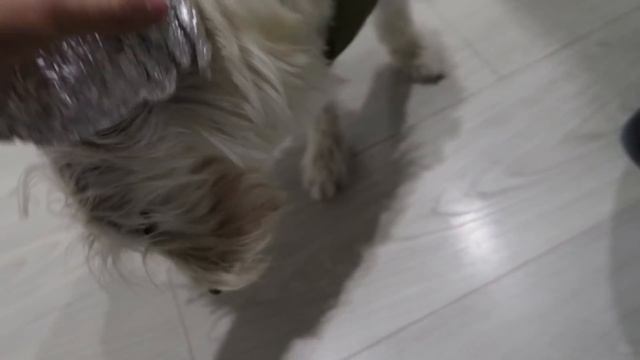 VLOG: ПРЕОДОЛЕВАЯ ПРЕГРАДЫ СНЯЛ НОВУЮ ПЕРЕДАЧУ смотреть онлайн