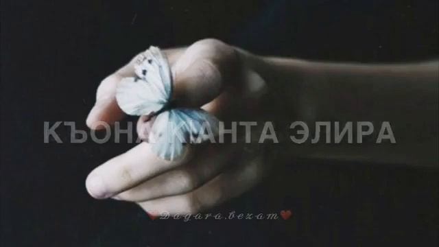 Вахид Аюбов смотреть онлайн