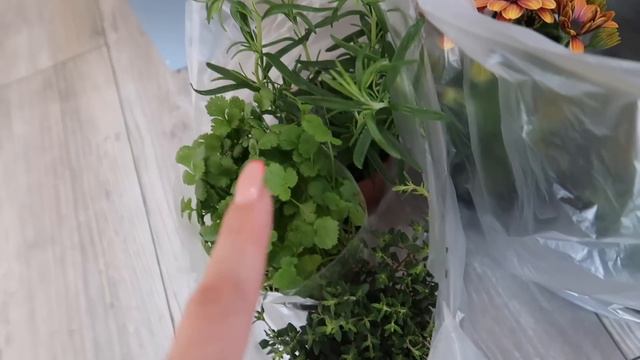 ZMIENIŁAM SIĘ!KWIATY,RYNEK,TARTA Z RABARBAREM! смотреть онлайн