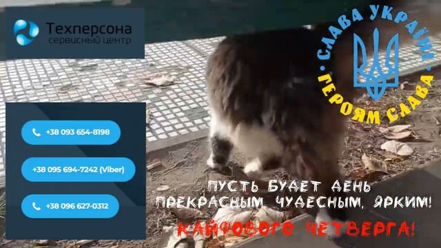 РЕМОНТ , СКУПКА ПРАЛЬНИХ МАШИН ТА ХОЛОДИЛЬНИКIВ В ОДЕСI смотреть онлайн