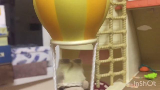 «Оторвавшийся воздушный шар.»/sylvanian families/calico critters/мультик из игрушек/сильвашки смотреть онлайн