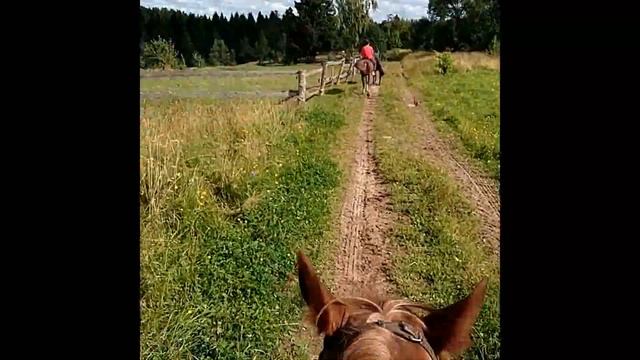 Серая Лошадь (Благовещенское) 2017 смотреть онлайн