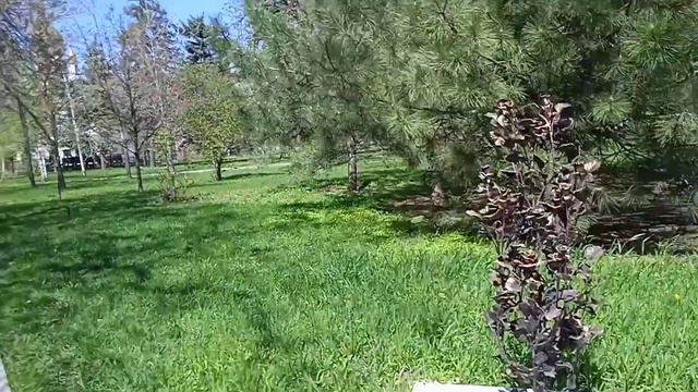 Донецк сегодня 17.04.2023 Женщинам непокорëнного Донбасса. Алеск играет 🎻 смотреть онлайн