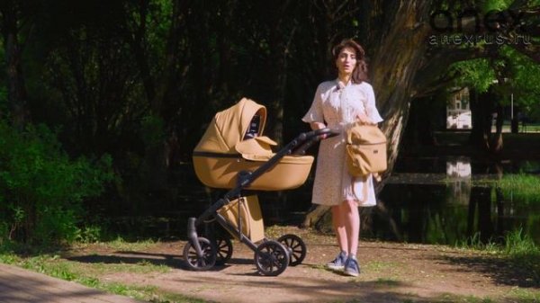 Сравнение всех модульных колясок Anex