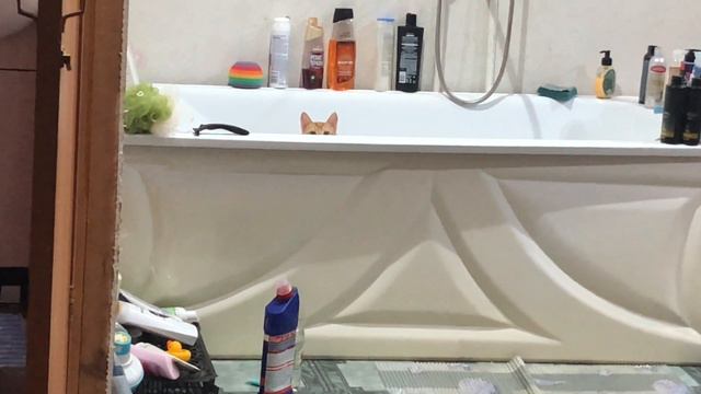 Бакс с ванной друзья смотреть онлайн