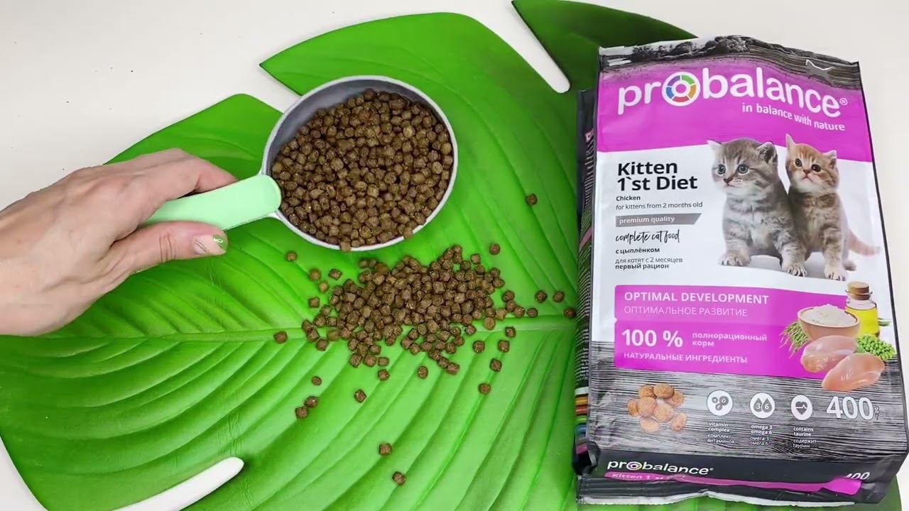 Корм для котят PROBALANCE "1`ST DIET KITTEN" смотреть онлайн