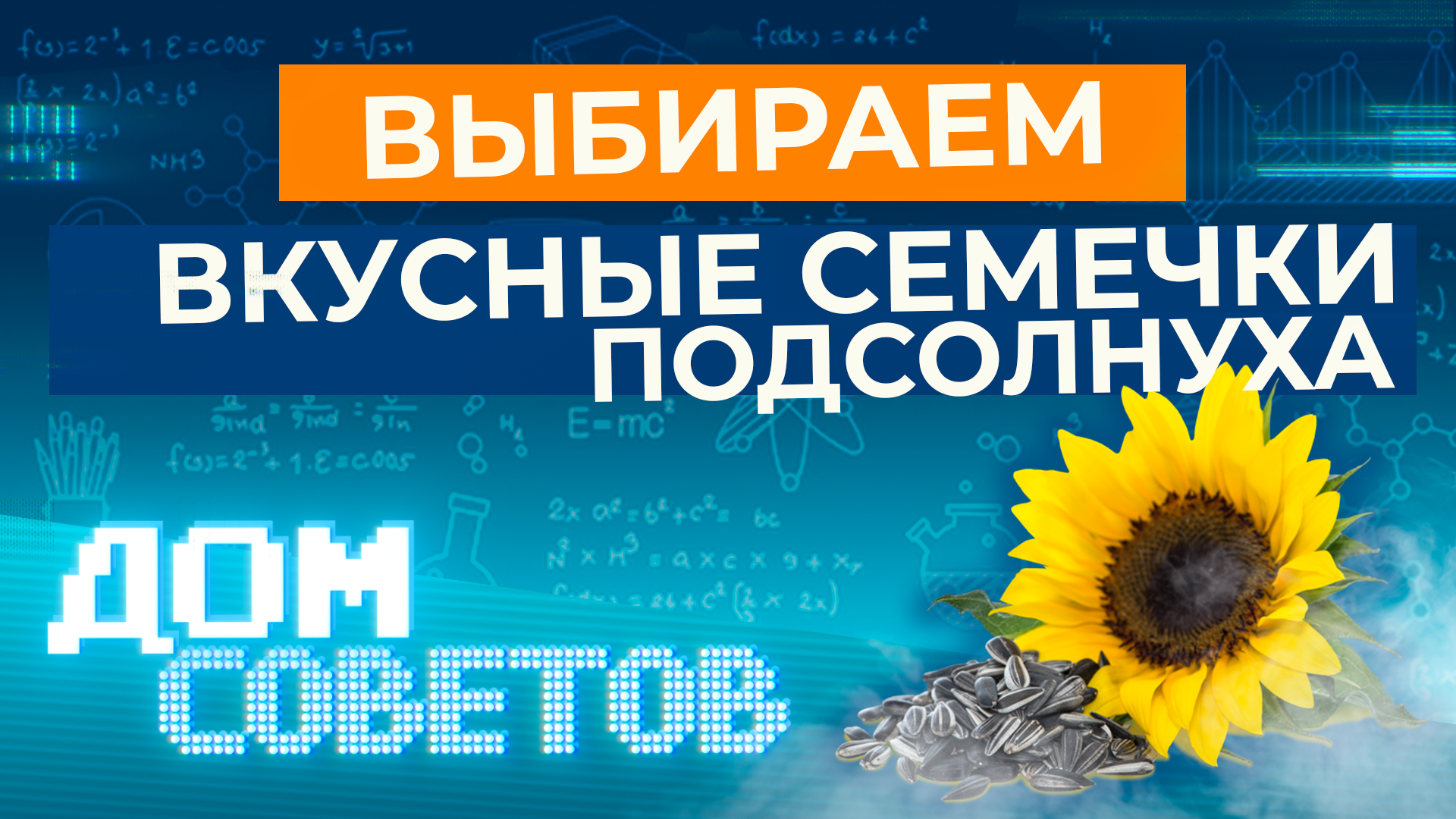 Выбираем вкусные семечки подсолнуха смотреть онлайн