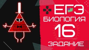 ЕГЭ биология 2020 Задание 16 Рохлов разбор