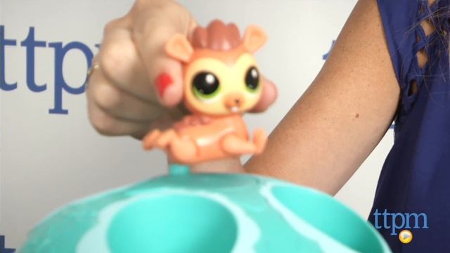 Littlest Pet Shop Playtime Park with Russell Ferguson from Hasbro смотреть онлайн