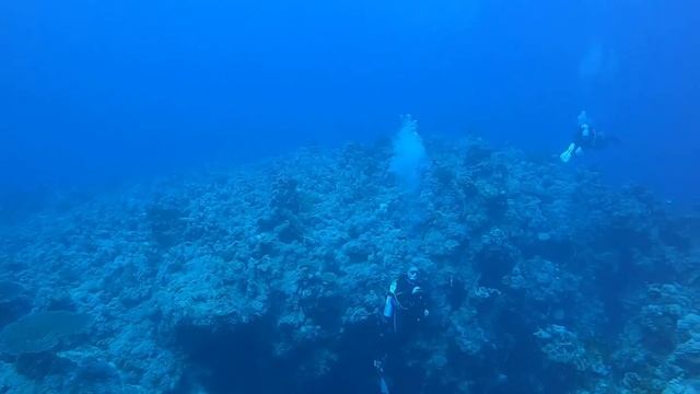 EEL GARDEN каньон, национальный заповедник Рас-Мохаммед