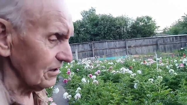 У моих соседей всегда есть чему подивиться смотреть онлайн