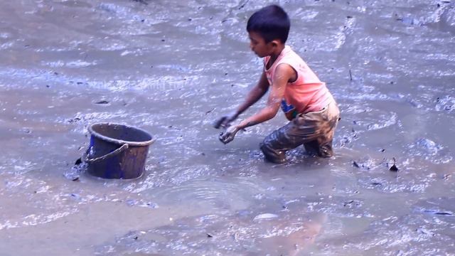 Unique Mud Fishing Video! Find & Catch Fish Form Mud in Small Pond смотреть онлайн