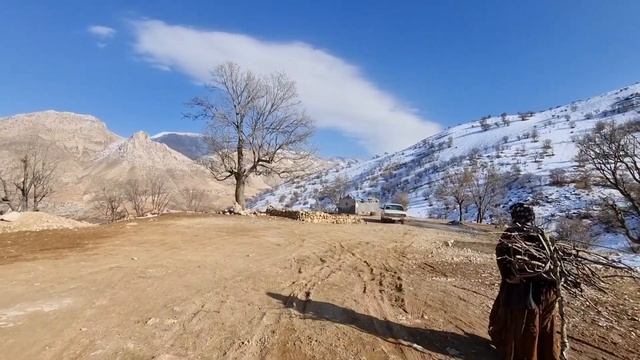 The collapse of the family: Addiction leads the nomads to destruction смотреть онлайн