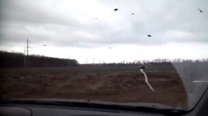 ACURA MDX SH-AWD 3.7 на бездорожье OFFROAD 4x4