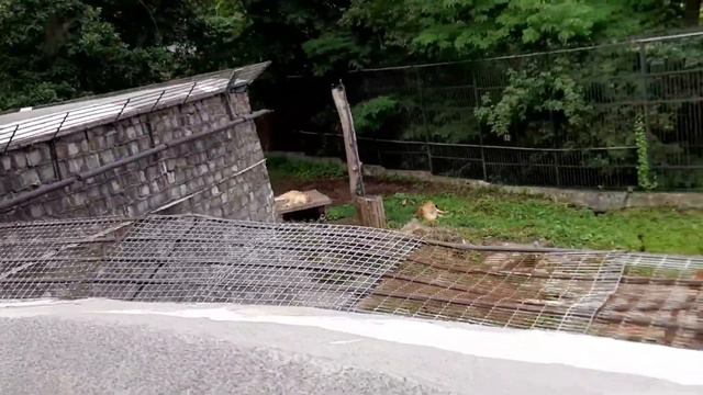 VLOG 16.07. Сходили в Калининградский зоопарк | Прогулка по городу | Напали гномы смотреть онлайн