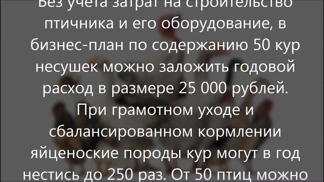 Бизнес план по разведению домашней птицы смотреть онлайн