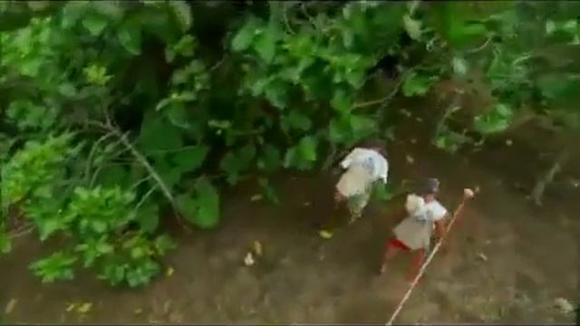 Видео компании Моринда, Как делают сок нони  От дерева до бутылки часть 1