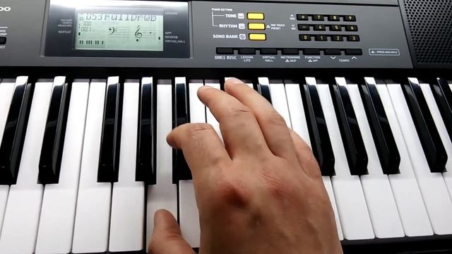 CASIO CTK-2500. Звуки органов с 43 по 64. Очень неплохо.
