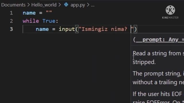 #8 While loop-3 | Break statement haqida смотреть онлайн