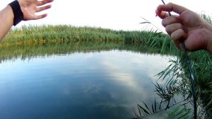 Dayo Prestig 185 первые впечатления и первые караси.