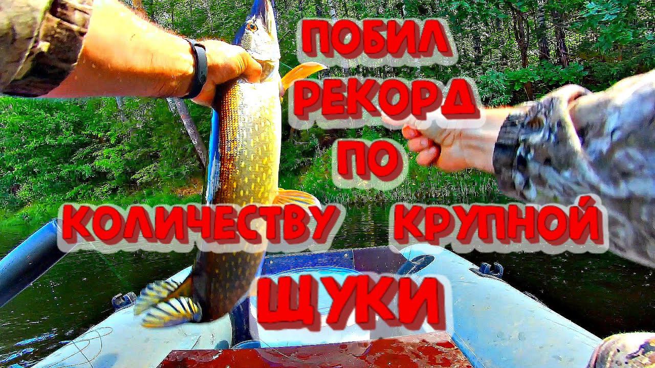 Побил рекорд по количеству крупной щуки смотреть онлайн