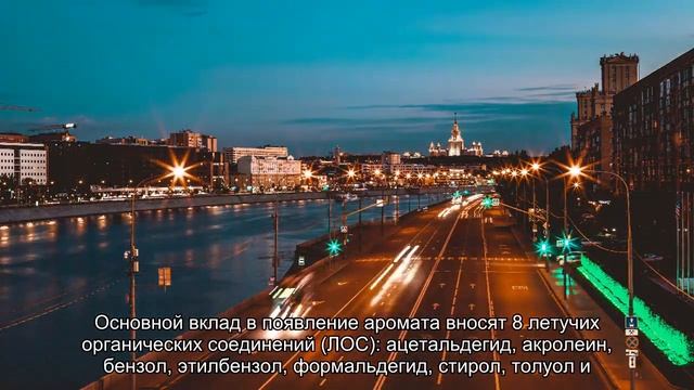 "Запах нового автомобиля" оказался опасен для человека смотреть онлайн