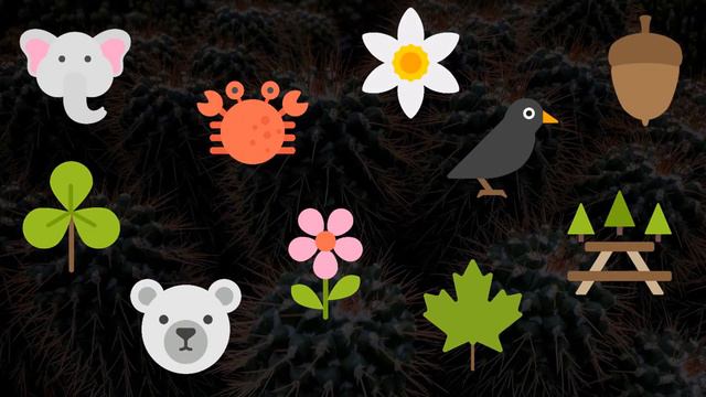 Презентация в PowerPoint с эффектом Impression FX - картинки кактусов смотреть онлайн