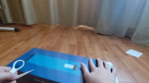 РАСПАКОВКА МОДЕЛИ АВТОБУСА НЕФАЗ-5299 МОСГОРТРАНС!