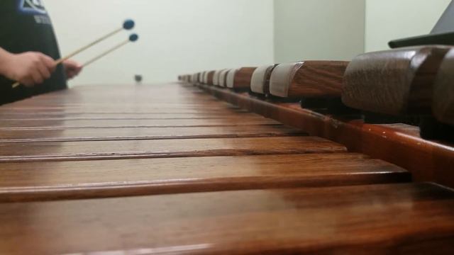 Scharton in G- Huge 5.3 Octave Marimba смотреть онлайн