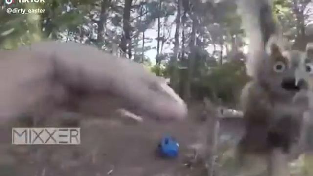 #бешеная сова смотреть онлайн