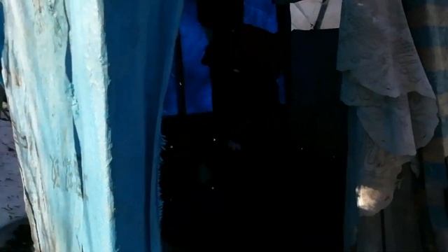 Кто быстрее прибежит тот получит приз. смотреть онлайн