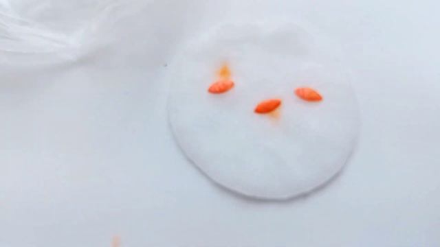 Как вырастить огурцы на окне. смотреть онлайн